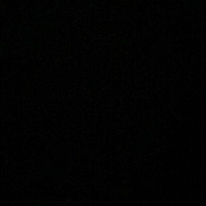 Meet your Posher, Alexus